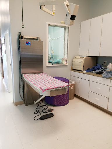Lansdowne Animal Hospital Gallery - United States