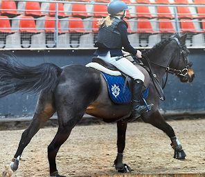 Photo n°17 de Ecuries j-c stable à Mérignies (Club équestre)