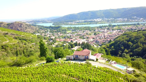 Photo de Les Vignes Ardéchoises