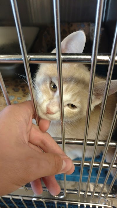 Photos of Petsense Hinesville