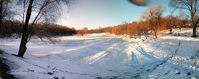 Photos of Plajă