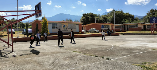 ESCUELA SECUNDARIA TECNICA 141 - Thumbnail