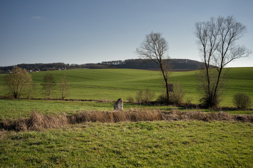 Menhir Sippersfeld - Thumbnail