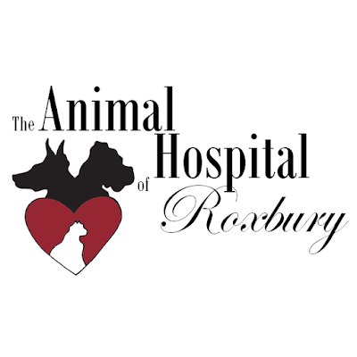 Photos of The Animal Hospital of Roxbury