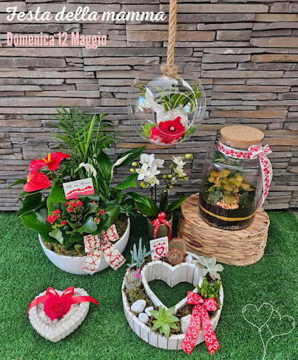 I fiori di Nonna Anna - Thumbnail
