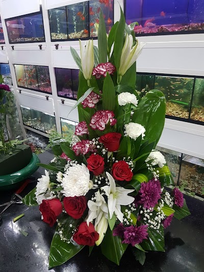Photos of Plants And Flowers Emirates Crown Tower