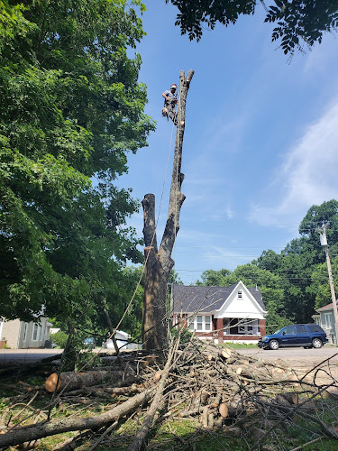 Jaime Landscaping & Tree Service