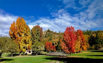 Hawthorne Memorial Gardens