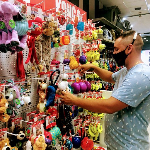 MOISES Acuarios & Mascotas