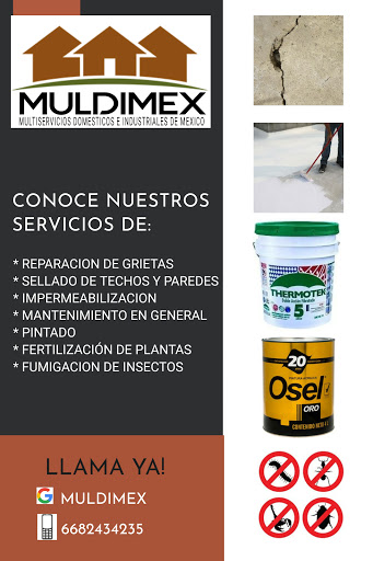 MULDIMEX - Visual