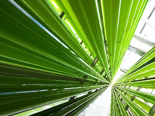 Photo n°1 de LLDC Algae à Plouguenast-Langast (Éleveur)