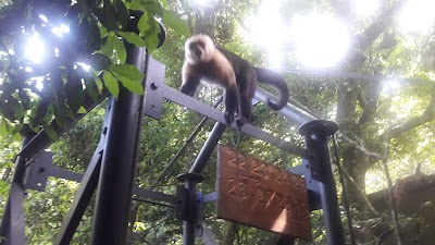 Photos of Jaguarundi Lodge