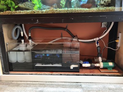 Aquarium Management Systems