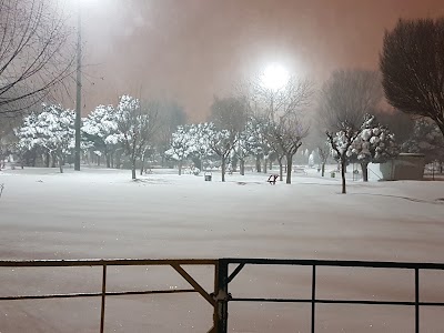 Photos of Valiasr Park
