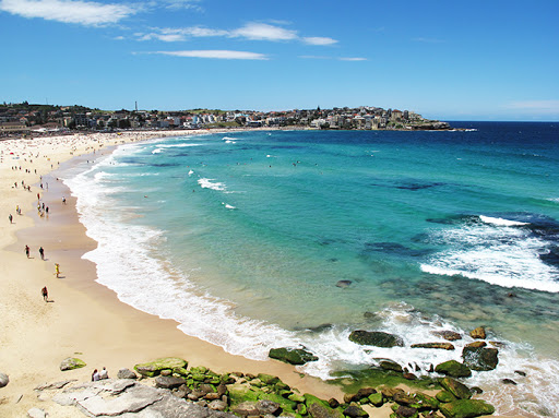 Bondi Beach Aboriginal Rock Art Tours Gallery - Australia