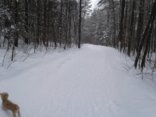 Vallon Park - Visual