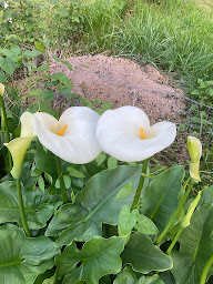 Photo n°22 de Les Chambres d'Agath'ânes - Ganac, Ariège à Ganac (Chambre d'hôtes)