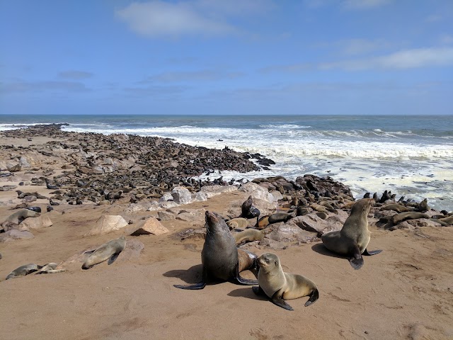 Cape Cross