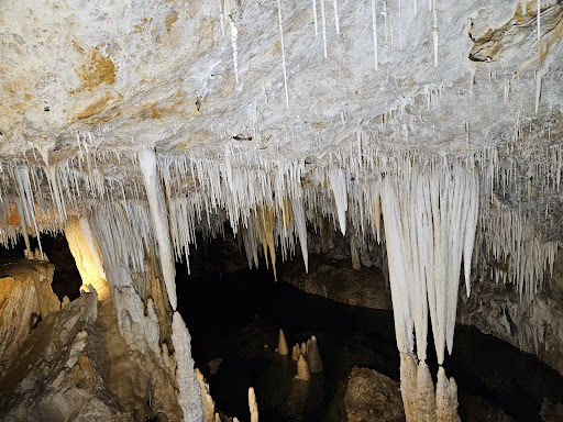 Trattoria bruna - Thumbnail