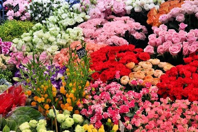 Photos of Main Street Floral