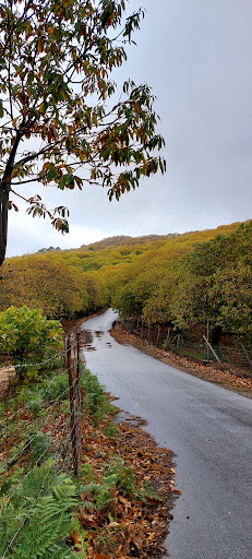 Valle del Genal - Thumbnail