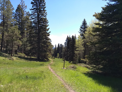 Angel Fire Valley Scenic Trailhead - Thumbnail