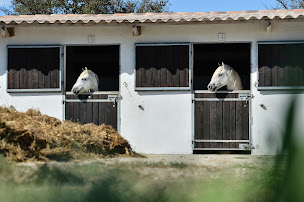 Photo n°4 de Centre de Tourisme Equestre la Grenouillère à Saintes-Maries-de-la-Mer (Centre de randonnée équestre)