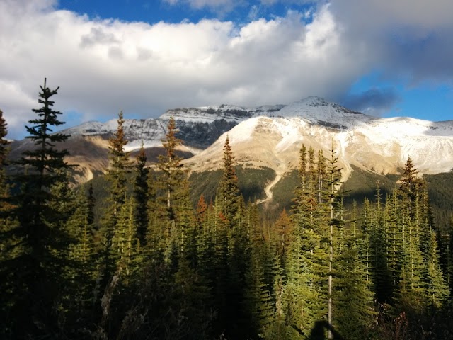Peyto Lake