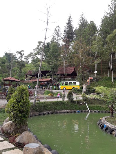 Photos of DagoUmaia