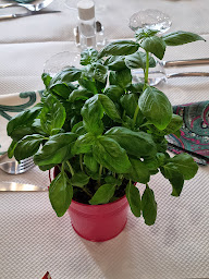 Photo n°14 de Restaurant Portugais O'Churrasco à Suresnes (Restaurant méditerranéen)