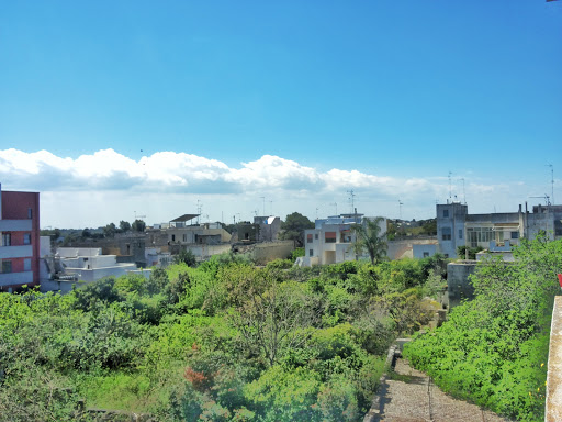 Lecce - Visual