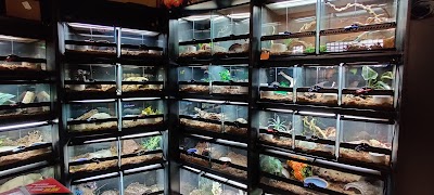 Twin Cities Reptiles