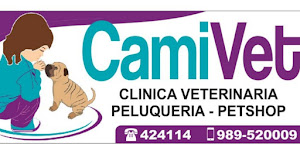 CAMIVET Clinica Veterinaria Spa 4