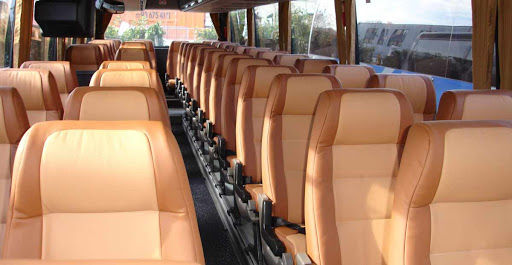 Taxivanclass - Visual