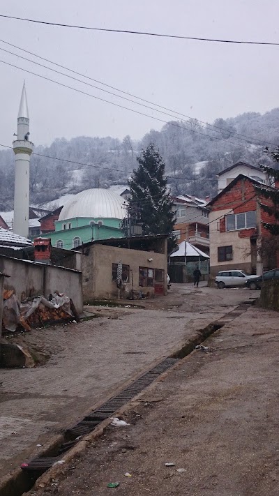 Photos of Qendra Sellce