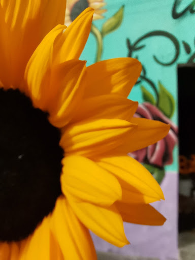 Florería Fresi flor