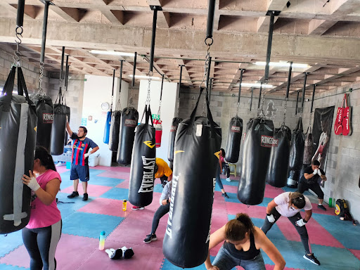 Box Fitness Industrias