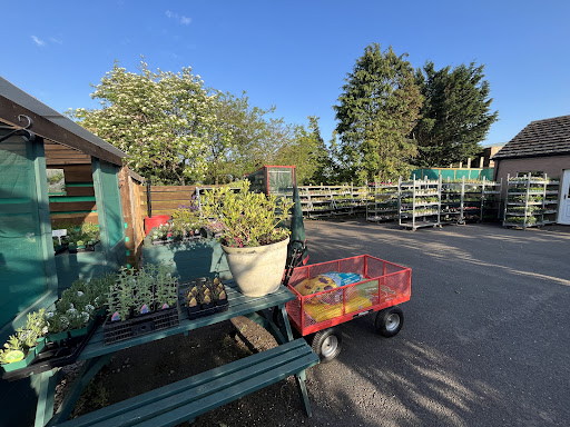Carnoustie Farm Shop - Thumbnail