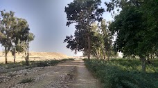 Green Public Park hyderabad