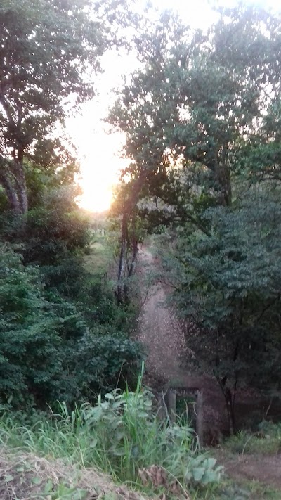 Photos of Karen Mogensen Nature Reserve