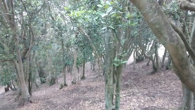 Photos of Cumbre Cerro Santa Ines