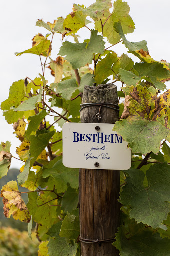 BESTHEIM - Caveau de Kaysersberg - Thumbnail