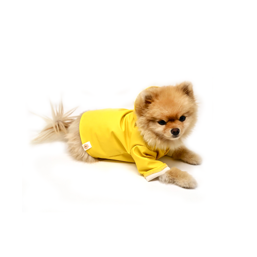 Mochi Mini Ltd - Thumbnail
