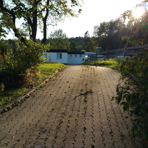 Gut Windrose
