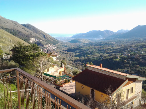 a pioppo - Visual