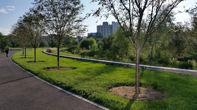 Mill River Park Collaborative