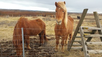 Photos of Laxnes Horse Farm