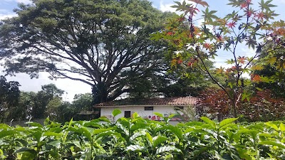 Photos of Tour Caf&eacute; de Altura - Finca Casa Vieja