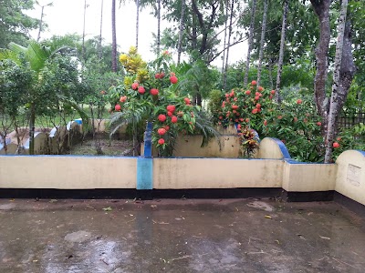 Photos of Sheikh Year Muhammad Ja'may Mosque