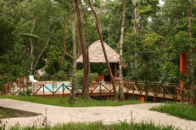 Amber Sunset Jungle Resort